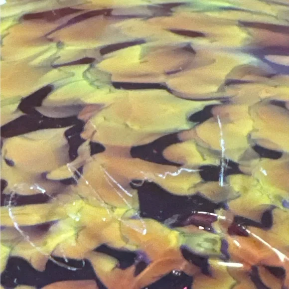 Stunning Handblown signed 2003 Vibrant Swirled Glass Bowl. (9-M) - Picture 6 of 6